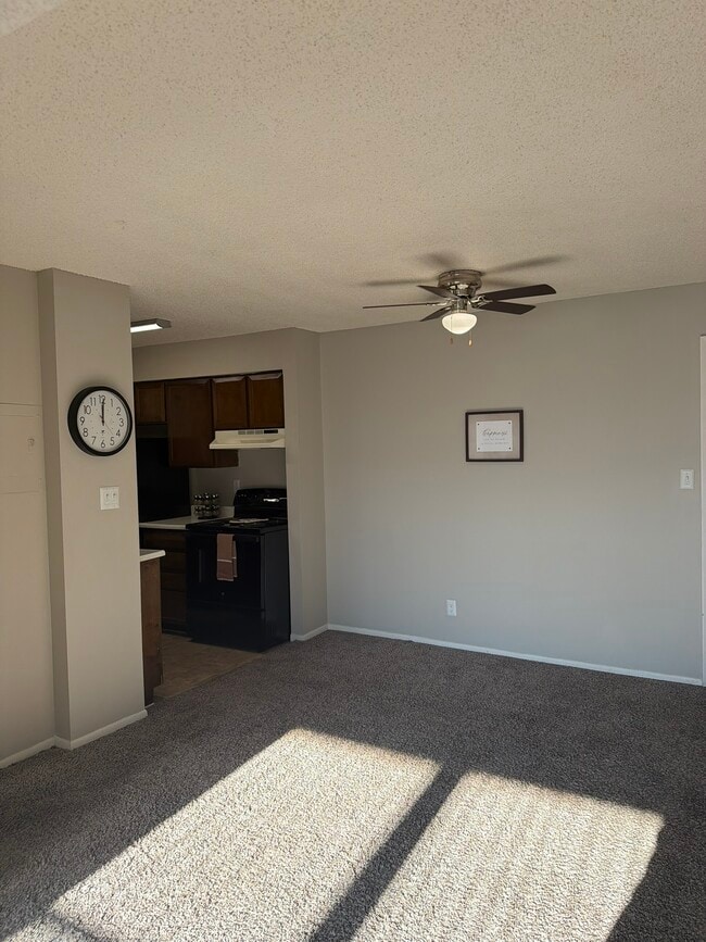 Photo - Spring Creek