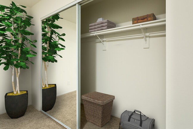 Renovated I closet
