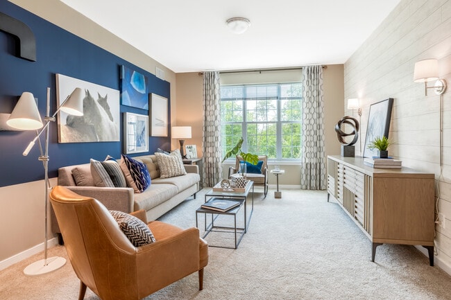 Designer Collection Living Room
