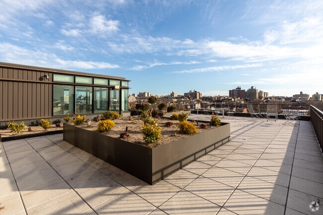 Rooftop