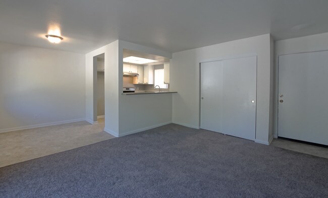 Photo - Bamboo Garden