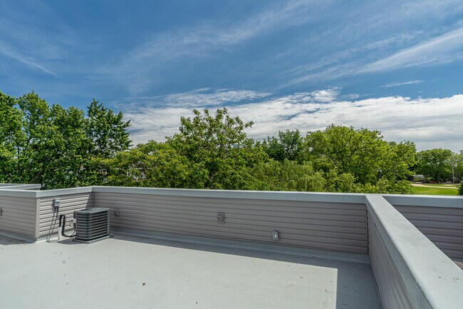 Photo - Bailey on the Park