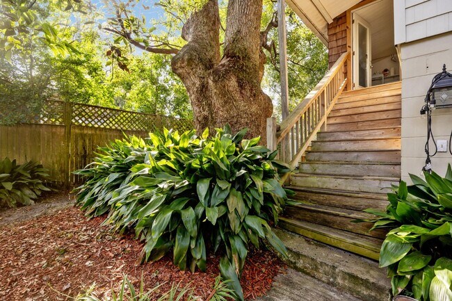 Photo - 1338 Wolfe St