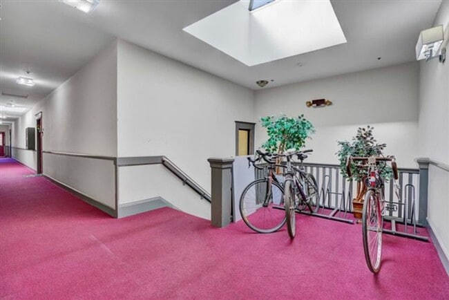 1 Bed 1 Bath in Historical Building