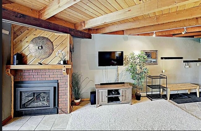 Gas fireplace and included utilities - 9100 Ryan Gulch Rd Unit Treehouse Condo - H202