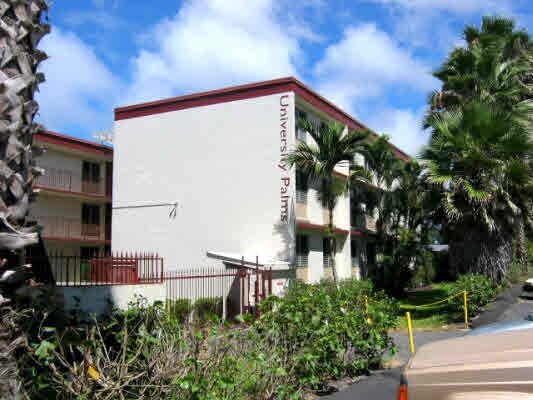 Photo - University Palms