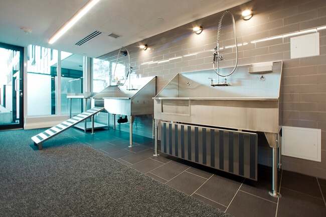 Photo - The Taunton Apartments