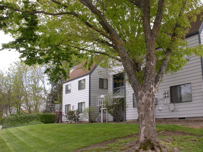 Apartments For Rent In Ashland Or Forrent Com Apartments For Rent In Ashland Or Forrent Com