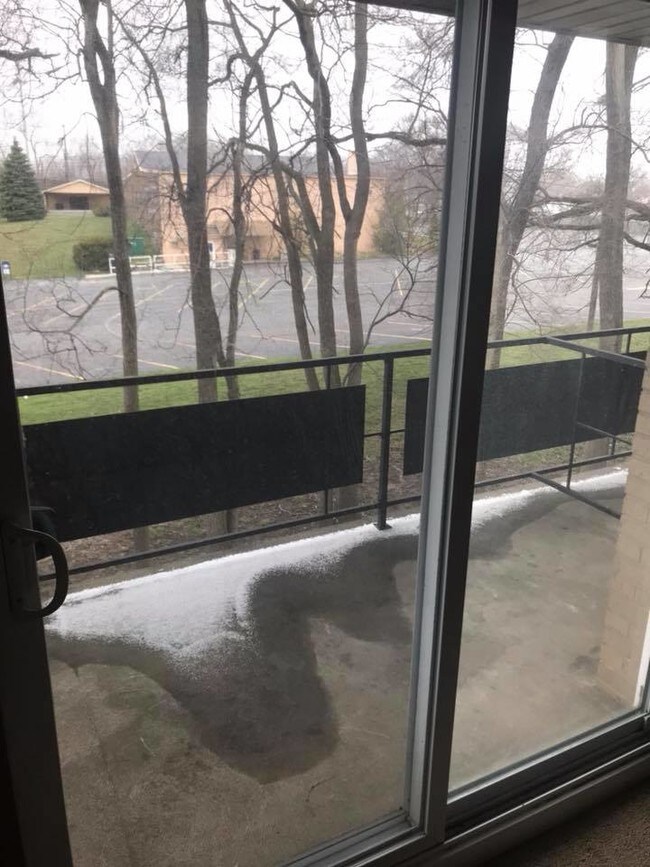 Photo - Tamaron Tower