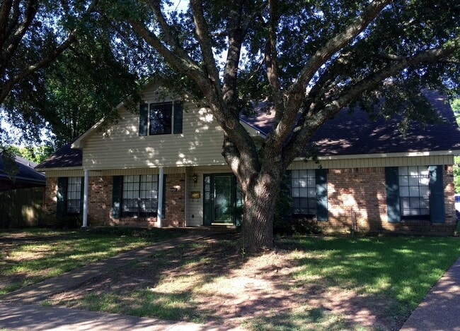 Building Photo - 10114 Village Green Dr