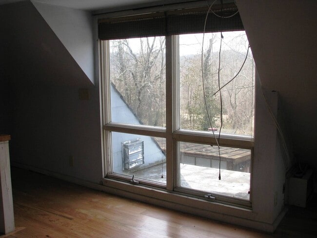 Photo - Foxhaven Farm Stonehouse!