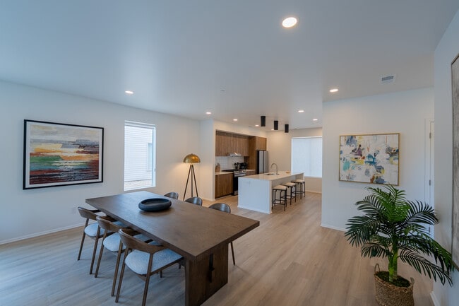915/917 Common Living Area & Kitchen