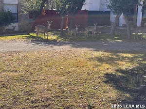 Photo - 514 Fossel Pass St