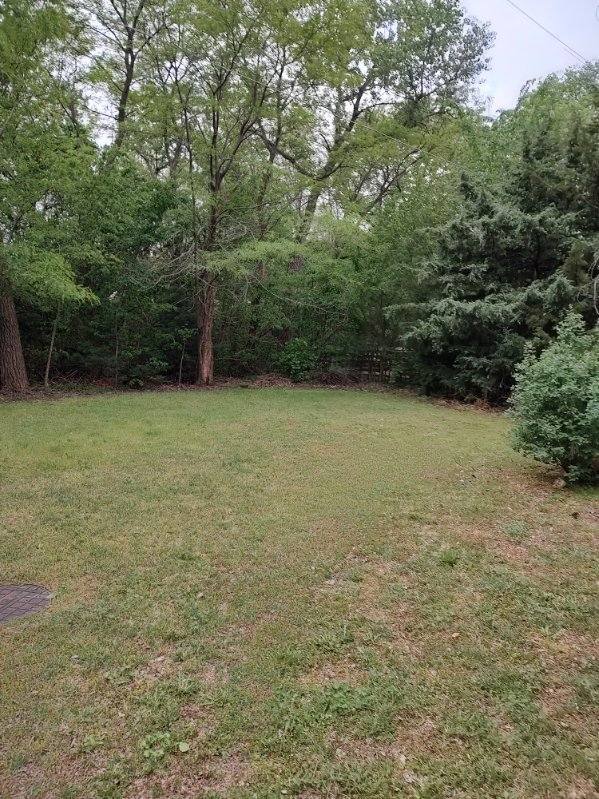 Photo - 1107 Glenshire Ave