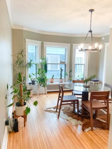 Fully Renovated Park and Beverly!