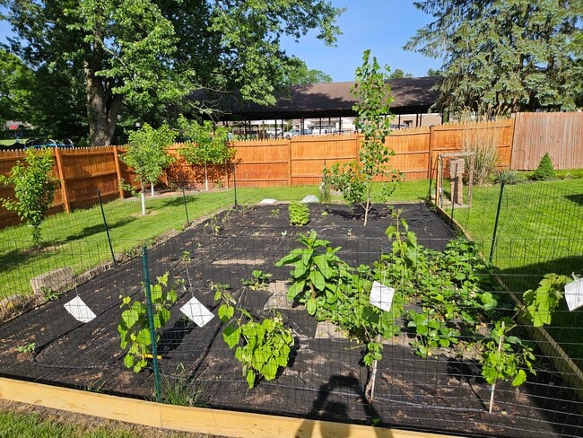 Garden - 4047 Mogadore Rd