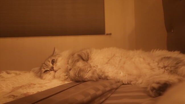 Photo - 4100 Galt Ocean Dr Unit 405