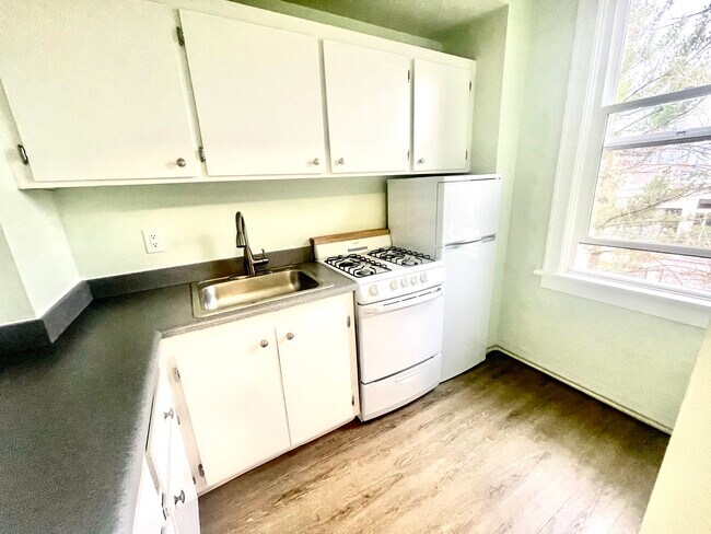 308 SC KITCHEN - Scandia Mignon Apartment Homes