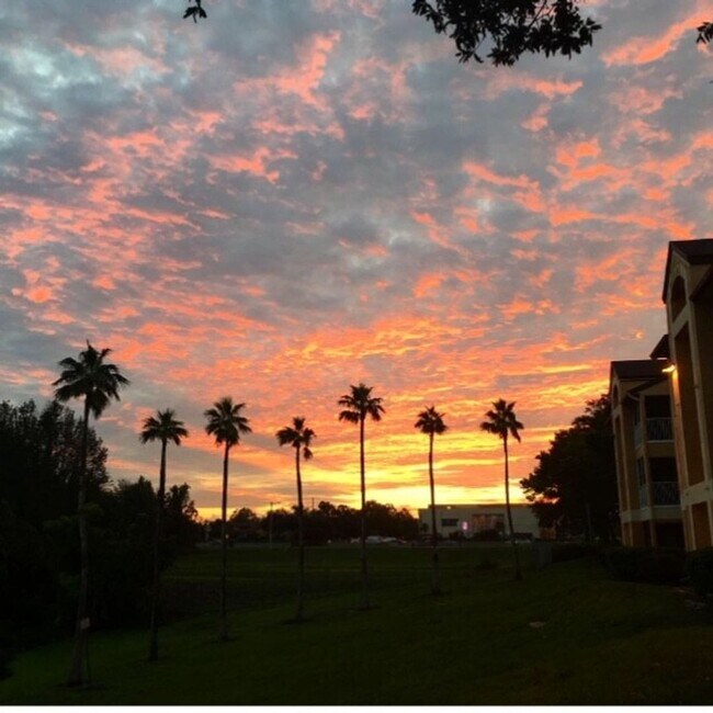 Photo - 8939-1205 Latrec Ave., Orlando. 1 bedroom 1 bath