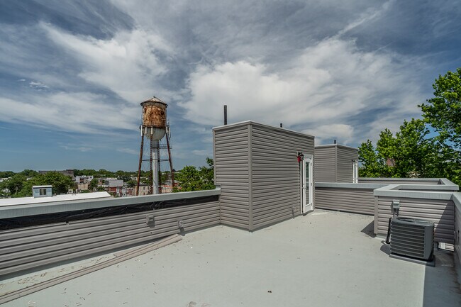 Photo - Bailey on the Park