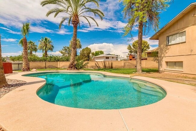 Photo - 6 Bedroom ASU house with pool and large yard