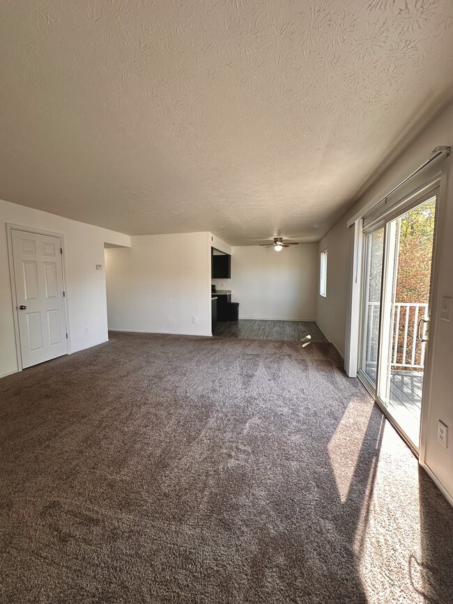 Photo - Timber Trails