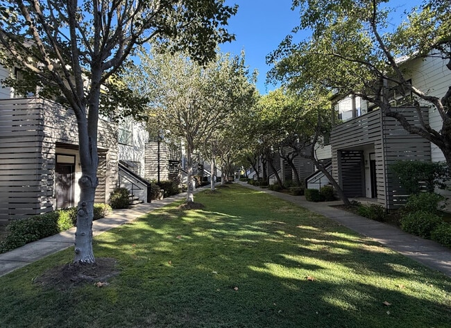 Montage Apartments
