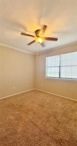 Photo - 304 Boot Ranch Rd