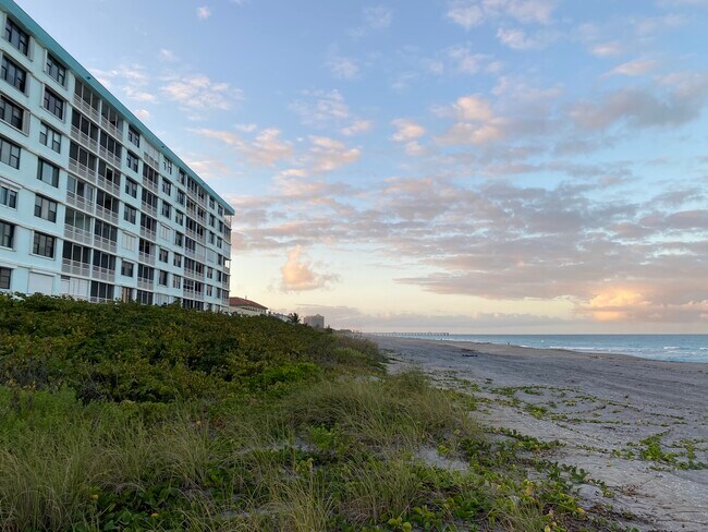 Directly on the sand - 900 Ocean Dr Condo Unit 504
