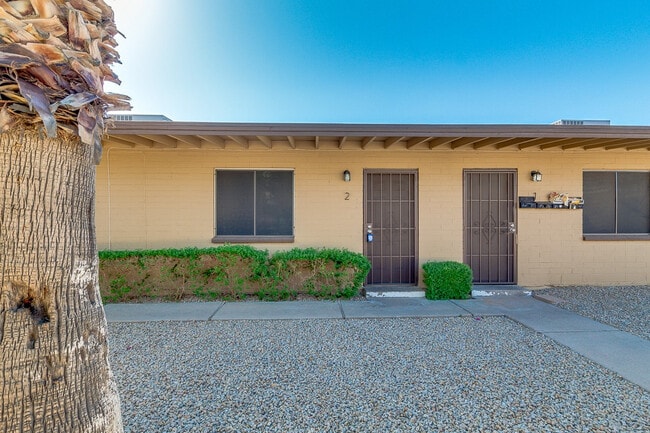 Photo - Desert Sunshine 2