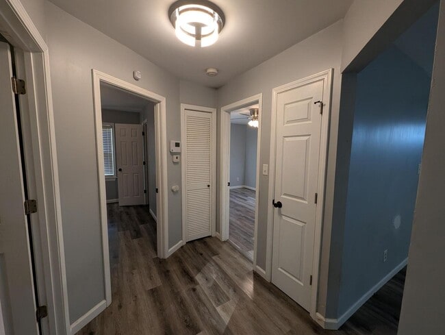 Photo - Dellwood Dream on Dennis