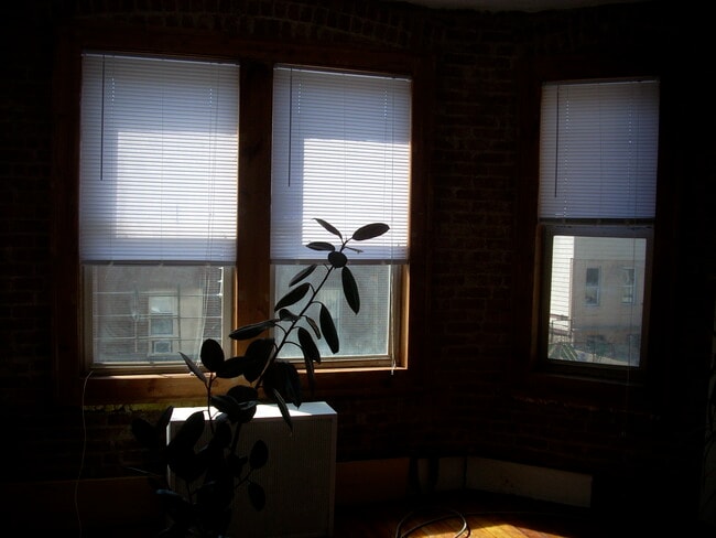 Photo - 1169 38th Street Unit 2nd Floor
