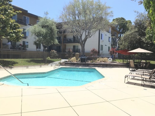 Sparkling pool