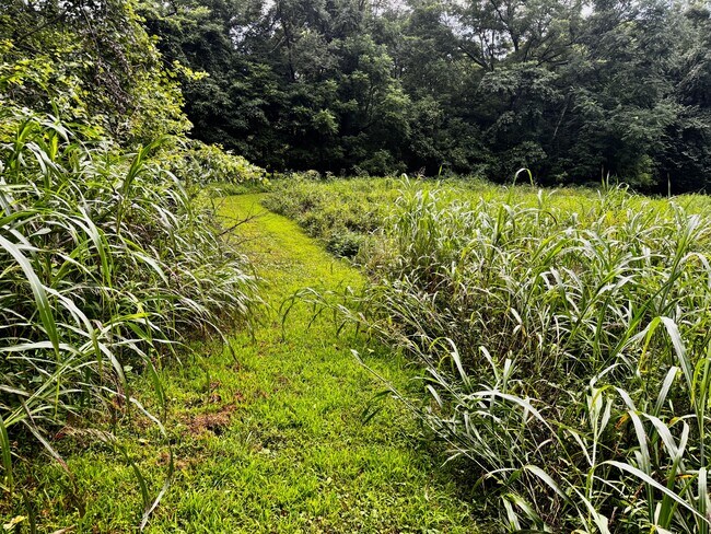 Photo - 4550 E Ooley Ave