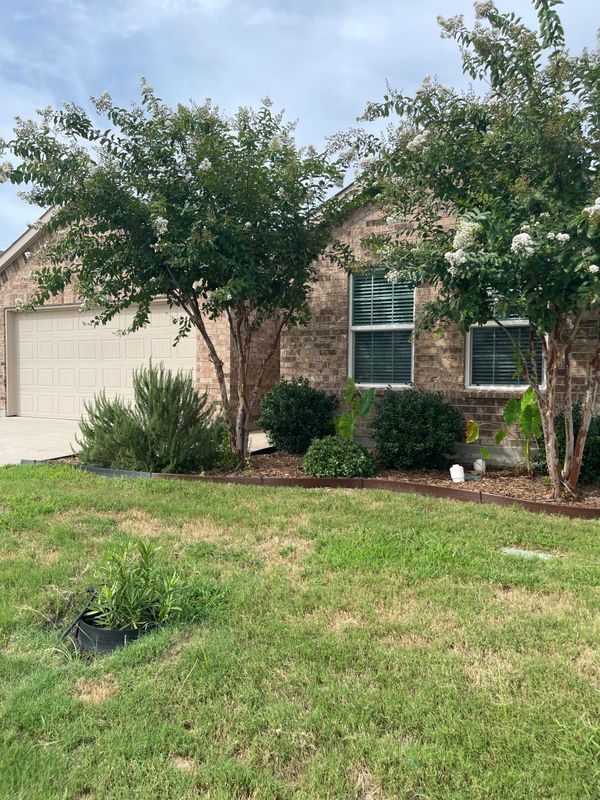 Building Photo - 138 Waxberry Dr