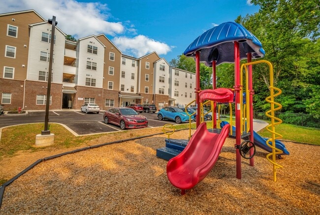 Photo - Magnolia Greene