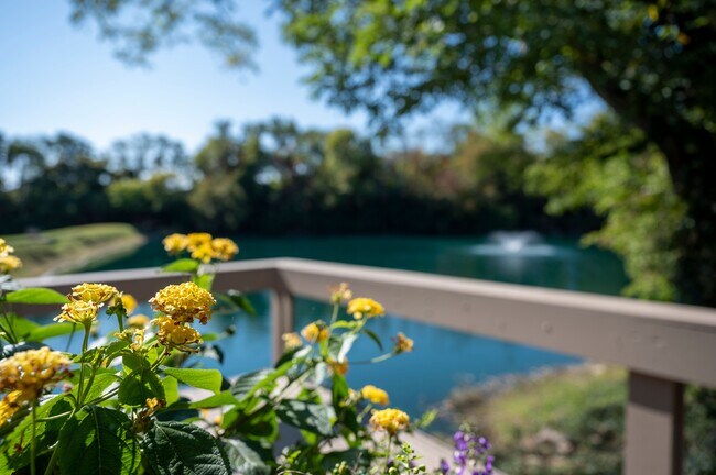 Saddlebrook at Tates Creek