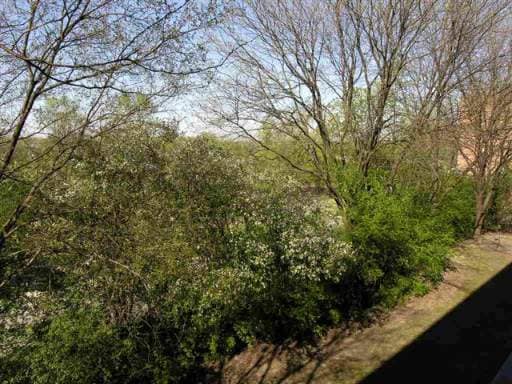 Photo - 5800 Oakwood Dr Unidad 3D