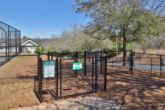 Dog Park