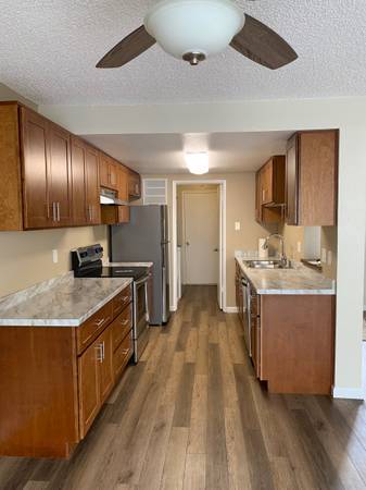 New appliances, cabinets, counter - 743 Sandpiper Cmn