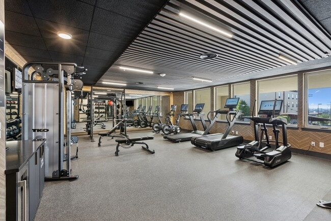 Photo - Wrenmoor LoHi