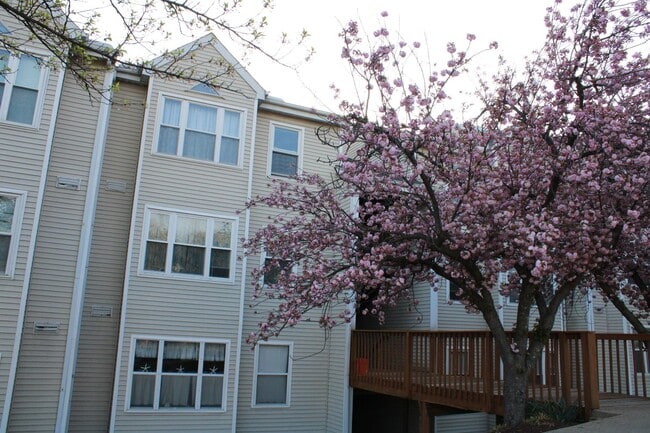 Building Photo - Charming 2 Bedroom/1 Bathroom Condo in Halethorpe, MD! Unit H