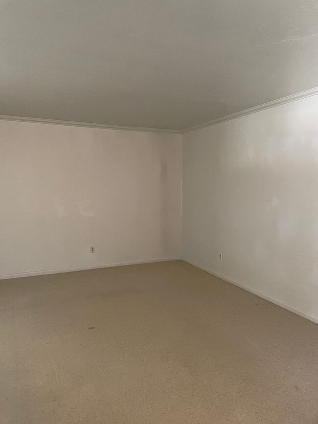 Photo - Large pet friendly home!