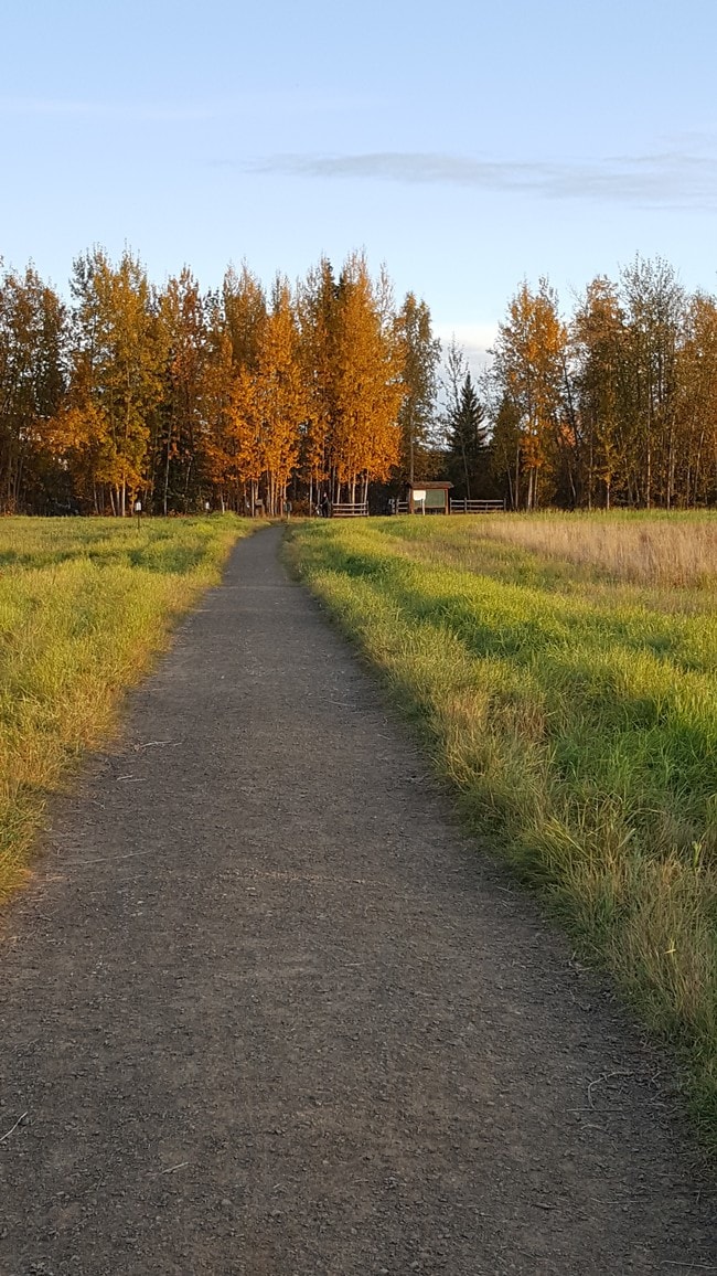 Walking paths in Willow Woods-adjacent Creamer's Field