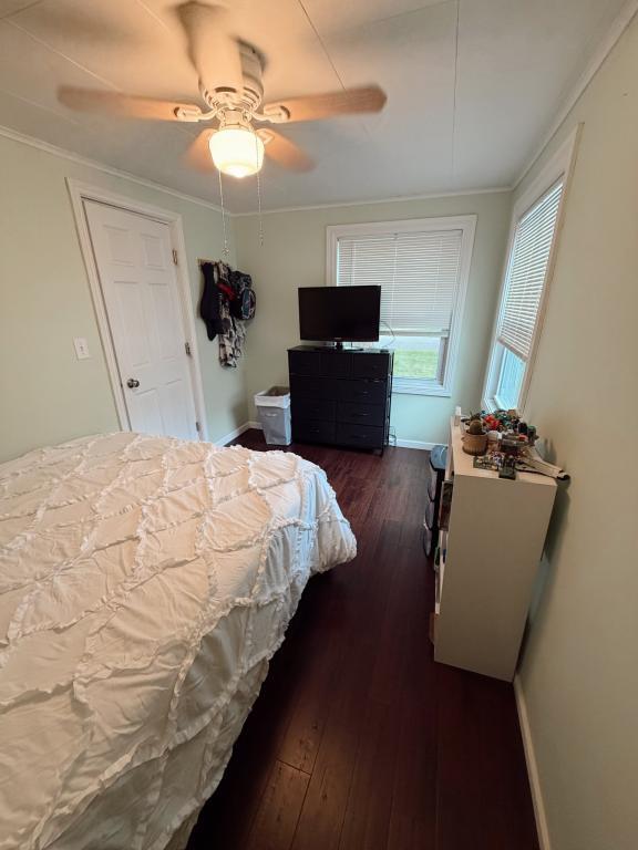 Photo - 202 Evans St