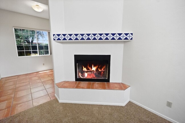3387 N Wood Violet Ct