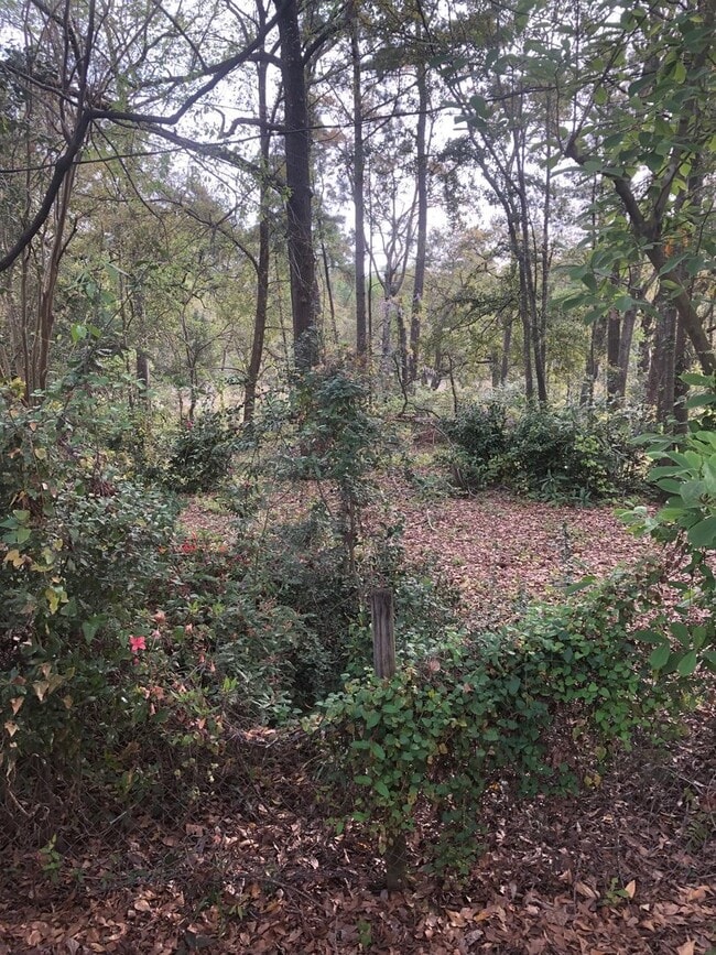 Photo - Marsh View Ranch