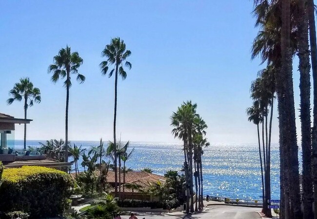 Remodeled 1BR Apartment Steps from Windans... - Remodeled 1BR Apartment Steps from Windans... Unit 350 Palomar Ave.