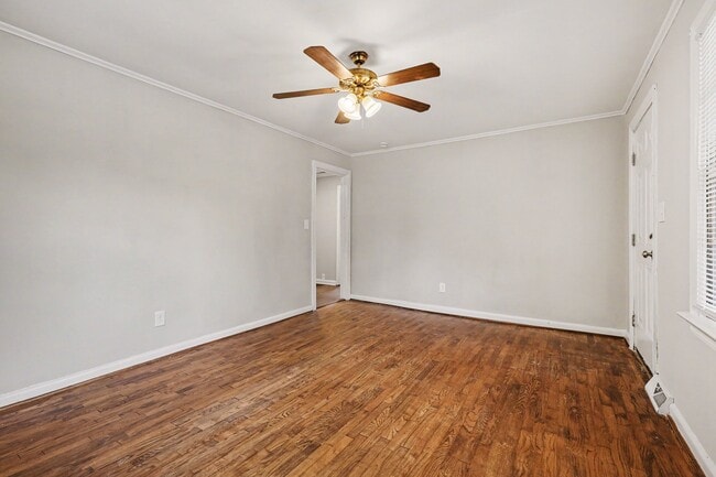 237 Lily St