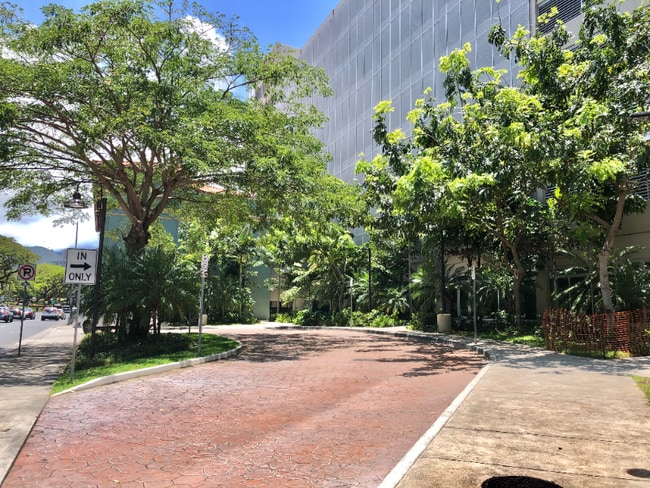 Photo - 801 South St